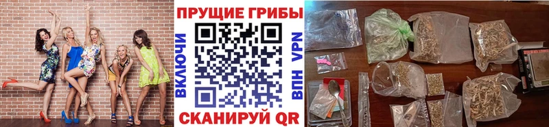 Галлюциногенные грибы мицелий  Кувшиново 